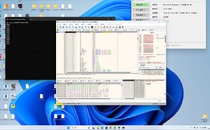 LyDbg 虚拟化 VT调试器，演示：单线程调试（过进程挂起检测）