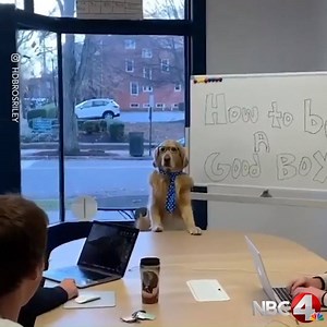 How to be a Good Boy 101 | NBC4