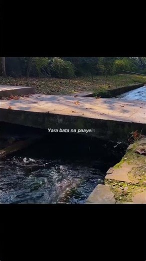 To Janei...❤❤❤....