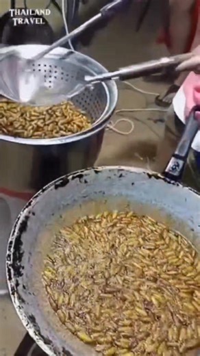 Fried Insects are a popular snack. 😋😋😋 | Thailand Travel