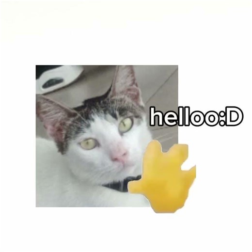 Hello, Hai😆😁