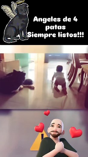 Marcelo Mengarelli on Reels