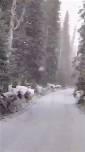 🤯Crazy Weather in April🤯 #preparedness #survival #prepping #alaska #preppers #shtf #fairbanks