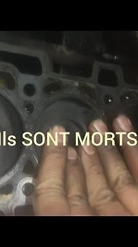 contrôlé segments moteur 1.5 DCI