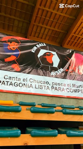 Kin-ball Aysén on Instagram: "🏐✨ ¡Vivimos un fin de semana increíble! Desde el **jueves hasta el sábado**, Puerto Aysén fue sede del **Campeonato Nacional de Kin-Ball 2025**, reuniendo a delegaciones de **Temuco, Santiago y nuestros representantes locales de Aysén** 💪🌊 Más de **100 jóvenes deportistas** llenaron la cancha con **energía, alegría y espíritu KIN-BALL**, demostrando que este deporte no solo se juega… ¡se vive con pasión! 💥 Fue un encuentro lleno de compañerismo, esfuerzo y mucha
