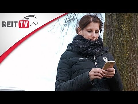 Pferd transportieren ohne eigenen Anhänger oder Transporter | Pferdesport-online.com - die neue APP!