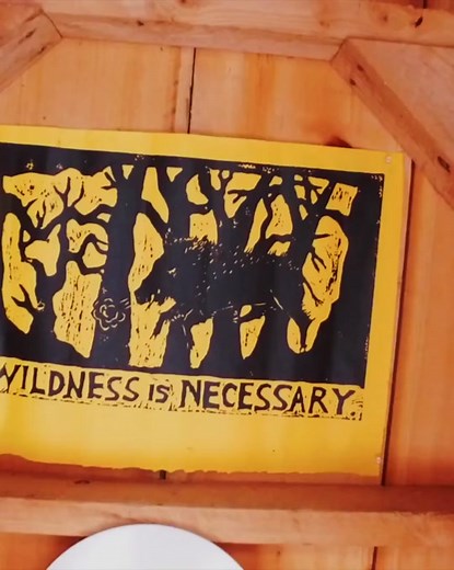 would you go to a toilet like this in winter?#camping #outdoor #campinghacks #toilet #cabin