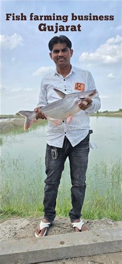 Fast Growing Fish Farming in Gujarat 🐟 | High Profit Fish Farming Ahmedabad #FastGrowingFishFarming
