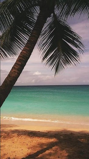 One year of Camp Snap camera use. Love it and the community. #photography