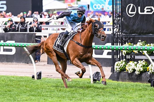 Melbourne Cup 2025 Replay - Half Yours wins for Jamie Melham