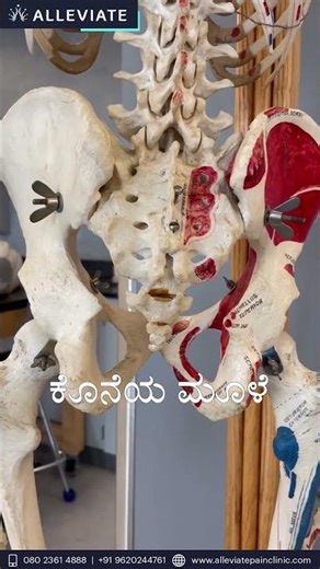 Is Your Tailbone Causing Your Back Pain? | Dr. Wiquar Explains Tailbone Dysfunction