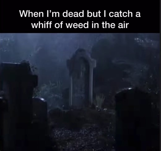 The_Lonely_CPU (@lonelycpu)’s videos with original sound - The_Lonely_CPU