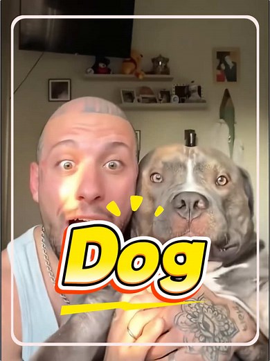 Can I Keep This Breed of Dog? Guide to Choosing the Right Dog