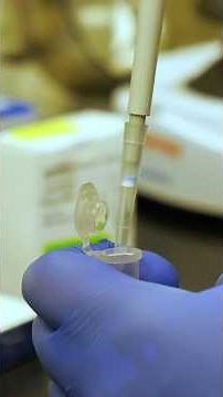 Forensic Science Week: Everyone Has a DNA Code