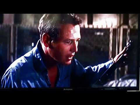 Paul Newman (Cool Hand Luke) sings "Plastic Jesus"