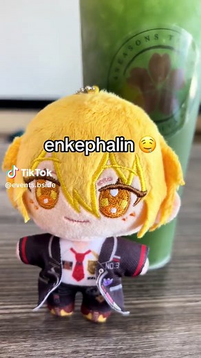 Donnie's Enkephalin Celebration Event