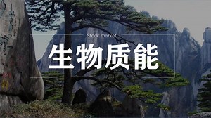 新能源之——生物质能