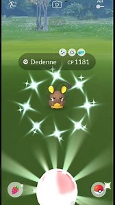 I got the cute 😍 weather boosted ✨ shiny pokemon from Glacial Lure In Pokemon Go | #Shorts #Pokemon