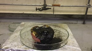 Ever Wonder What Powerful Acid Does To an Apple? Superacid Chlorosulfonic Acid Destroys An Apple | Chemistry lovers