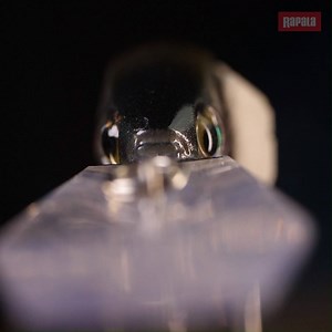 Meet Jack - the latest member of our Shadow Rap family. Find out more about this tiny deep diver here: https://bit.ly/2Sw2Iww | Rapala