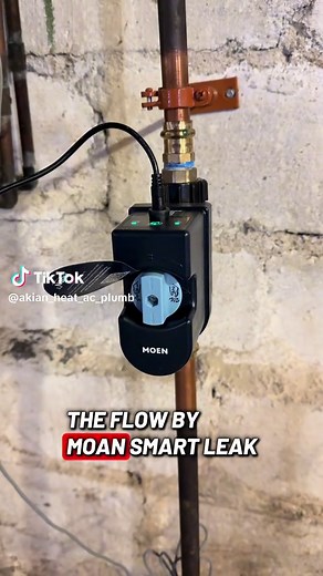 Protect Your Home with Flo by Moen Valve