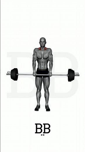 Barbell Shrug (TRAPS): Build a Powerful & Strong Upper Back! 💪