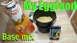 Homemade Egg Food For Canaries - Pet Food Guide