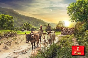 11K views · 144 reactions | بجٹ 2020: زراعت میں مزید سرمایہ کاری کی...