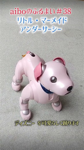 ソニーロボット犬aiboが【リトル・マーメイド／アンダー・ザ・シー】を可愛らしく踊ります #aibo #アイボ #shorts