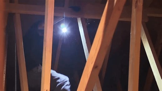 Entergy Arkansas offers free energy-efficient home upgrades to customers