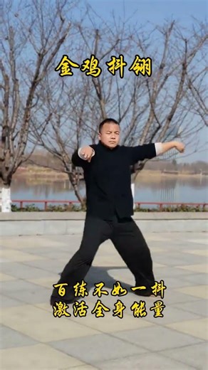 The Power of One: Mastering with a Single Shake of the Golden Rooster's Feathers