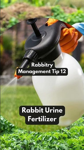 🐇 Why Rabbit Urine is important!