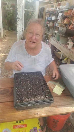 I'm planting desert rose seeds today! Woohoo! #garden #gardeningtips #desertrose #seeds #plantingtips | Teri's Greenhouse and Garden
