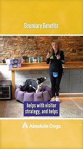 Boundary games are the foundation for everything we do at Absolute Dogs 🐾. They teach so many powerful life skills 💪, from impulse control and calmness 🧘‍♀️ to tolerance of frustration and disengagement, they are the foundation of every dog's training plan success 🏆. You can get our Real Life Boundaries course and many others with Games Club for only £30/monthly 💸. That's less than a cup of coffee a day ☕! Whatever your training struggle, there's a Game for That! 🎮🐕 👉🏻 http://absolutedo