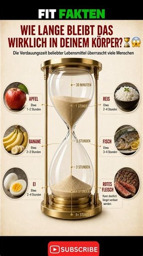 Wie lange bleibt das wirklich in deinem Körper? ⏳😱 #fitfakten