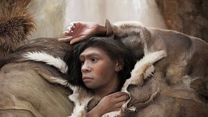 Neanderthal vs modern human brains - what 6 amino acids changed