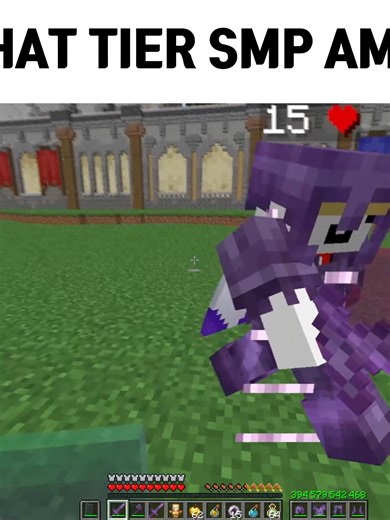 Finding Your Tier in Minecraft SMPs