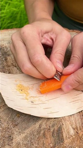 Mastering the Wild: A Young Expert's Guide to Forest Survival!