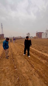 First kashmiri nursery established in Himachal under then supervision of Dr tajamul #KVF. | KVF Orchard and Nursery