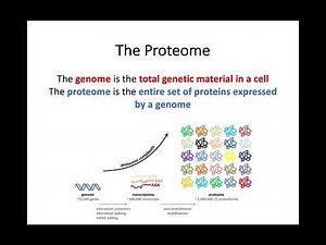 AH Biology 1.2a The Proteome