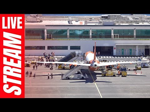 🔴 Madeira Airport LIVE Plane Spotting