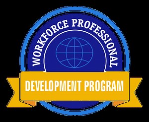 Workforce Professionals Development Program