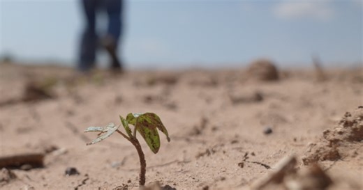 Drought warning/watch advisories expand across more counties in Virginia