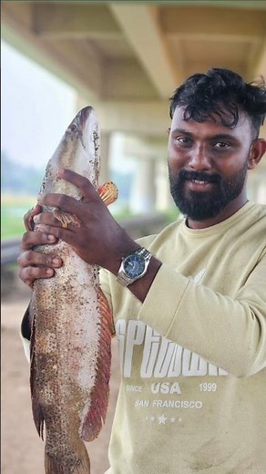 snakehead fishing malayalam Vaha #fishing #snakeheadfishing #snakeheadfish