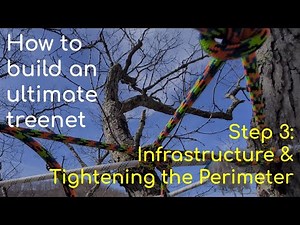 How to build an ultimate, permanent treenet, start to finish (STEP 3: adding infrastructure)