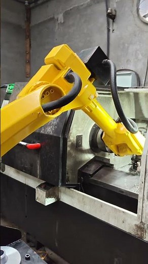 Industrial robots for loading and unloading work