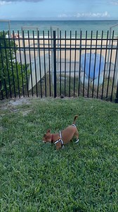 William David Cox on Reels