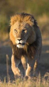 ये 3 बातें आपकी जान बचा सकती हैं! 😱 #shorts #lifesaving #facts