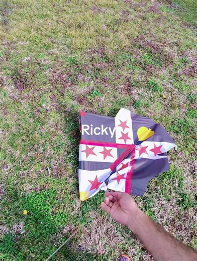 Enjoy the Thrill of Kite Flying with Ricky Kites