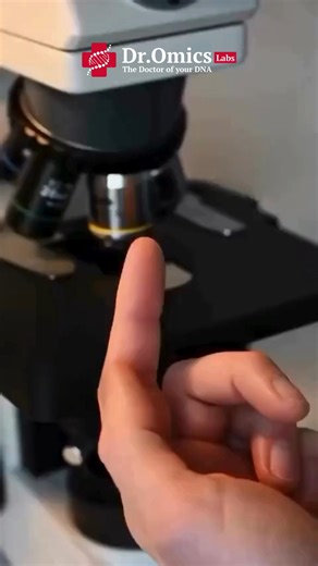 DrOmics Research Labs on Instagram: "The red color of human blood comes from iron inside the red blood cells. The iron is a very important part of the protein responsible for carrying oxygen, called hemoglobin. Each red blood cell is filled with these proteins and are therefore ideal for transporting oxygen from the lungs throughout the entire body, like microscopic oxygen busses #science #biology #microscopy #underthemicroscope #nature #life #microworld #microcosmos #ecology #microorganism"